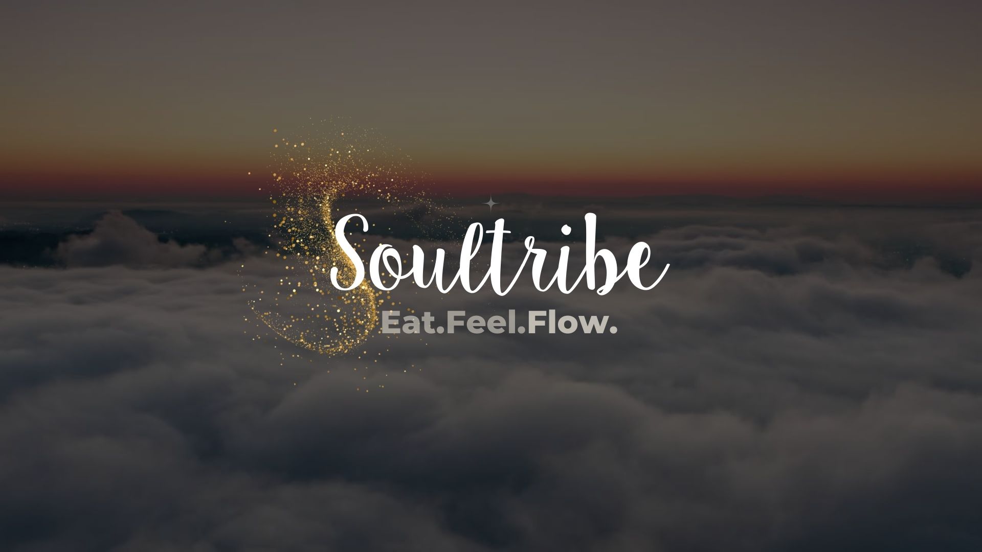 Programm Soultribe Level Feel Annett Hansen Ernährungsprofilerin Memberbereich